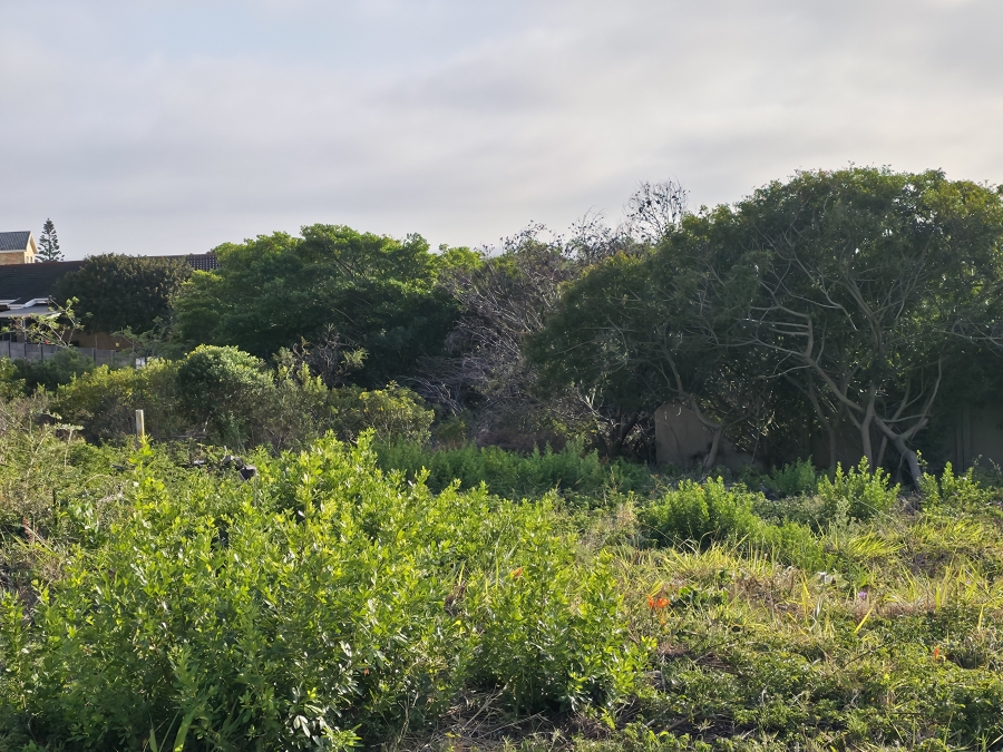 0 Bedroom Property for Sale in Wavecrest Eastern Cape